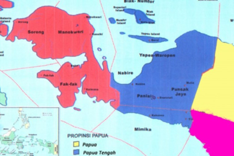 Sebut Rencana Pemekaran Provinsi Papua Selatan Sebagai Upaya Memajukan Industri Lokal, Yakin Tak Akan Timbul Konflik?
