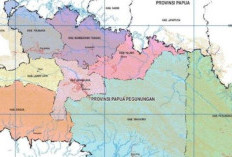 Resmi! Papua Pegunungan Jadi Provinsi Baru di Indonesia, Satu-satunya Provinsi Tak Berbatasan dengan Laut!