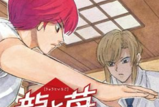 リンク漫画[龍と苺]全巻のあらすじと無料で読む方法、ボーイ・アクションの物語