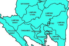 Siapkan 2 Opsi Nama! Kabupaten Baru di Lampung Timur Dapat Dukungan Penuh dari Masyarakat, Melinting Jadi Salah Satunya!