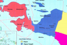 Sebut Rencana Pemekaran Provinsi Papua Selatan Sebagai Upaya Memajukan Industri Lokal, Yakin Tak Akan Timbul Konflik?